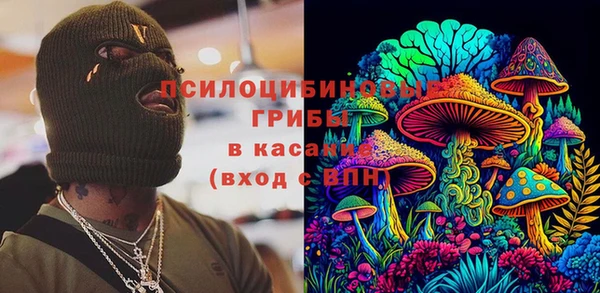 тгк Володарск