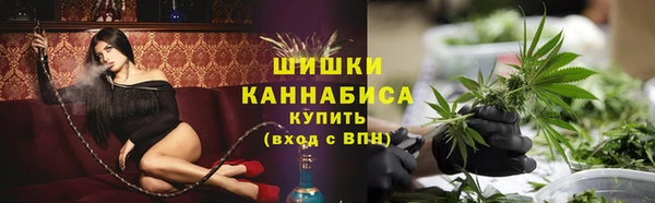 тгк Володарск