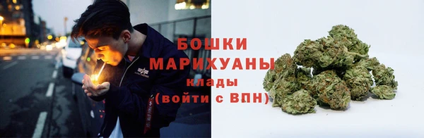 ПСИЛОЦИБИНОВЫЕ ГРИБЫ Волоколамск