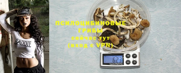 тгк Володарск
