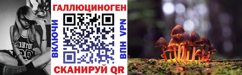 Галлюциногенные грибы Psilocybine cubensis  Иланский 